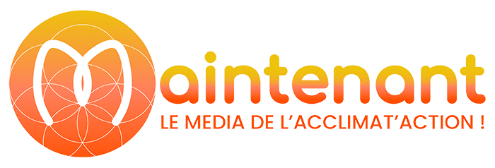 Logo Maintenant Marseille : le média de l'acclimat'action !