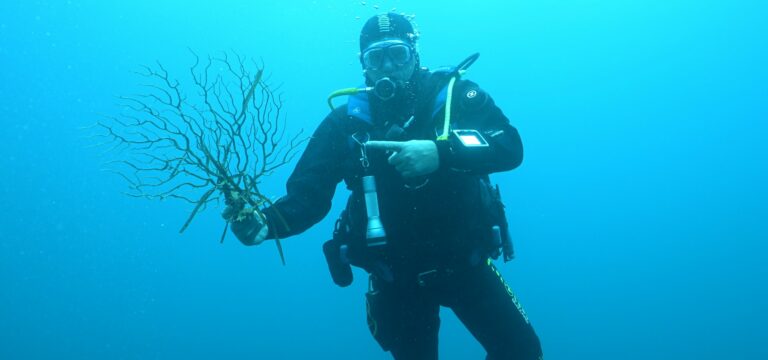 Pierre Boissery, une gorgone morte à la main, lors d'une plongée en Méditerranée à Porquerolles en décembre 2023. Poto : Nicolas BARRAQUE